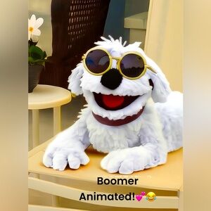Boomer animated!!